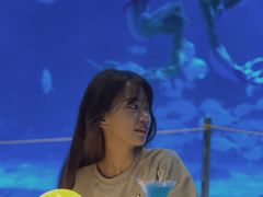 -烟台海昌鲸鲨海洋公园