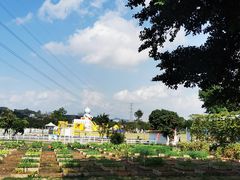 -长洲岛都市农业公园