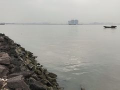 -海鸥岛