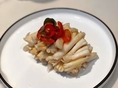 -酒池星座(深圳湾后海汇店)