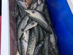 -活鱼馆(宜兴埠店)