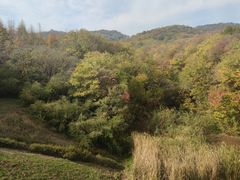 -南京市江宁方山