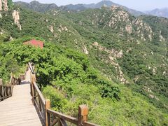 -大岭沟猕猴桃谷风景区