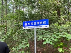 -同里国家湿地公园