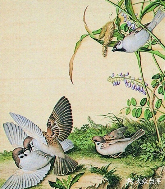 栩栩如生的花鸟图，简直是太漂亮了❗❗