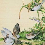 栩栩如生的花鸟图，简直是太漂亮了❗❗