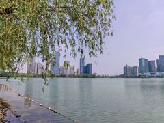 -天鹅湖体育公园