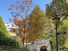 -三鹰之森吉卜力美术馆