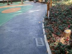 -徐家汇源景区-衡山公园