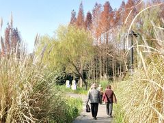-渤公岛生态公园