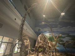 -自贡恐龙博物馆