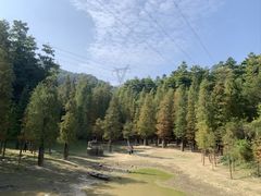 -广州市帽峰山景区