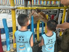 -西部长青自然儿童乐园