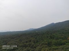 -灵谷景区