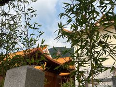 -深圳仙湖植物园