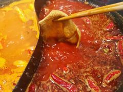 -朱氏胖子烂火锅(洪崖洞店)