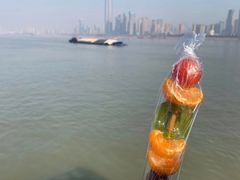 -武汉关码头(轮渡站)