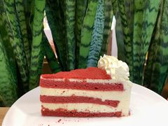 -Peet's Coffee皮爷咖啡(德基店)