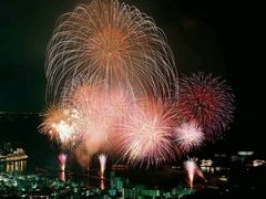 -嘉百乐超市(新东街店)