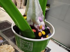 -Salud撒露欧洲冻酸奶(蓝色港湾店)