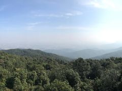 -东莞市大岭山森林公园