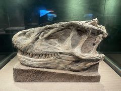 -自贡恐龙博物馆