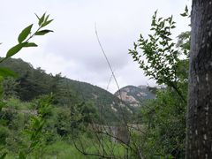 -无染寺