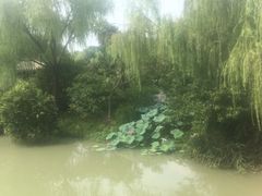 -盆景园(扬州大运河文化旅游度假区)