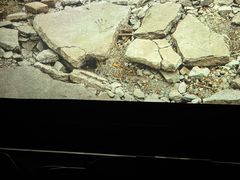 -AMG海上明珠影城(上海环球港RealDCinema店)
