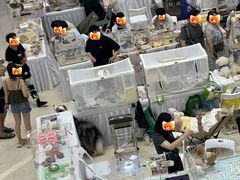 -吾悦广场(南京鼓楼店)