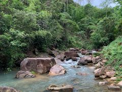 -广州白江湖森林公园