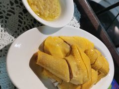 走地鸡-熠盛粤味·顺德桑拿鸡(永康路店)