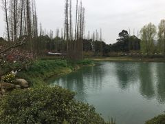 -秀丽东方
