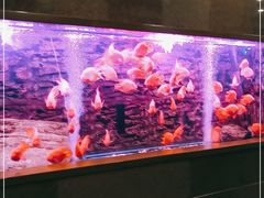 -鑫麦KTV(首都宾馆店)