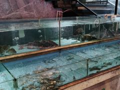 -饭怕鱼(阳光100店)