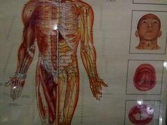 -洪盛堂(净居寺南街店)