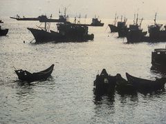 -映像威海·海鲜味道(经区店)