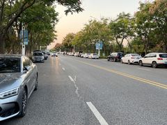 -羊山湖公园