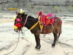 -陕西黄河壶口瀑布旅游区