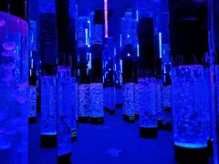 -成都浩海立方海洋公园