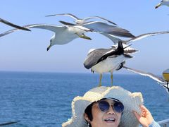 -海驴岛(荣成市)