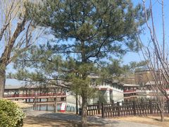 -西海子公园