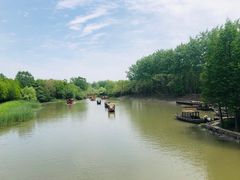 -溱湖国家湿地公园