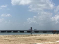 -东郊椰林