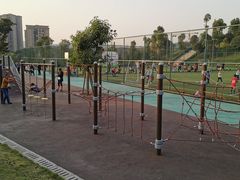-东岳体育公园