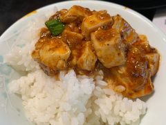 -陈麻婆豆腐总店