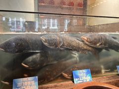 -上名堂·鱼头好吃(体育场路店)