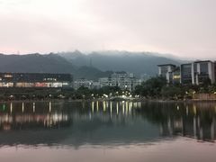 -奈雪的茶(大梅沙8号仓店)
