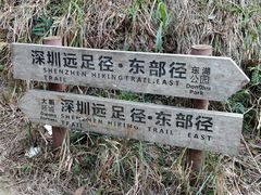 -梧桐山风景名胜区