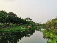 -映月湖公园